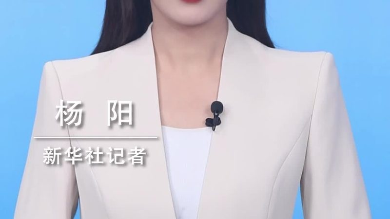 SaaS平台排名解析：十大关键考量因素